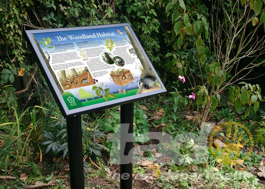 Stacks Image 4479920