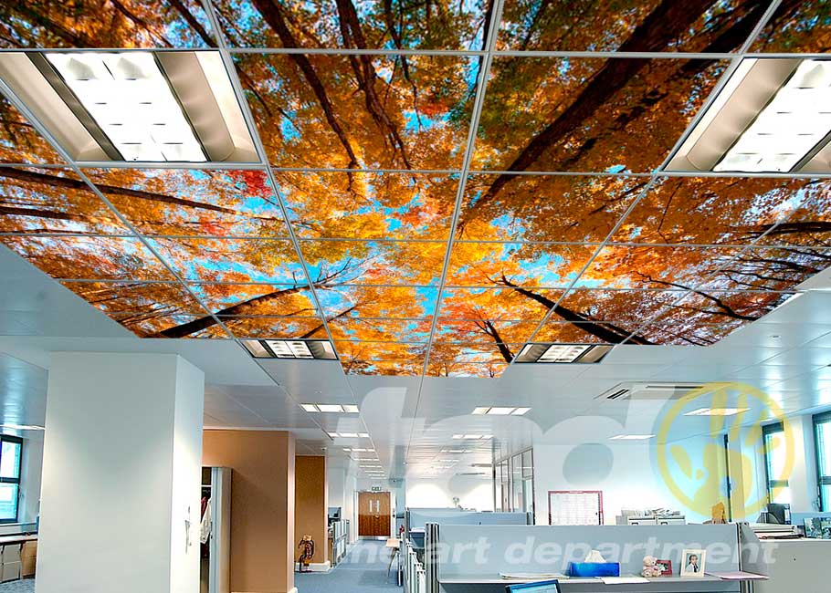 ceiling graphic trees 3